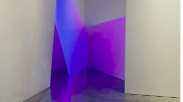Primavera: Young Australian Artists : Divisions