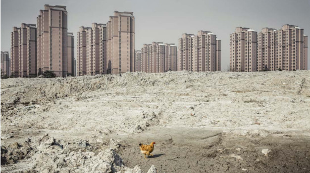 Critical Ecologies Of Posthumanism
