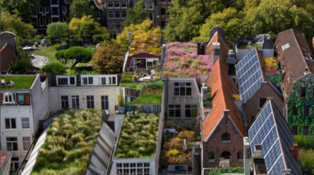 ROOFTOP REVOLUTION